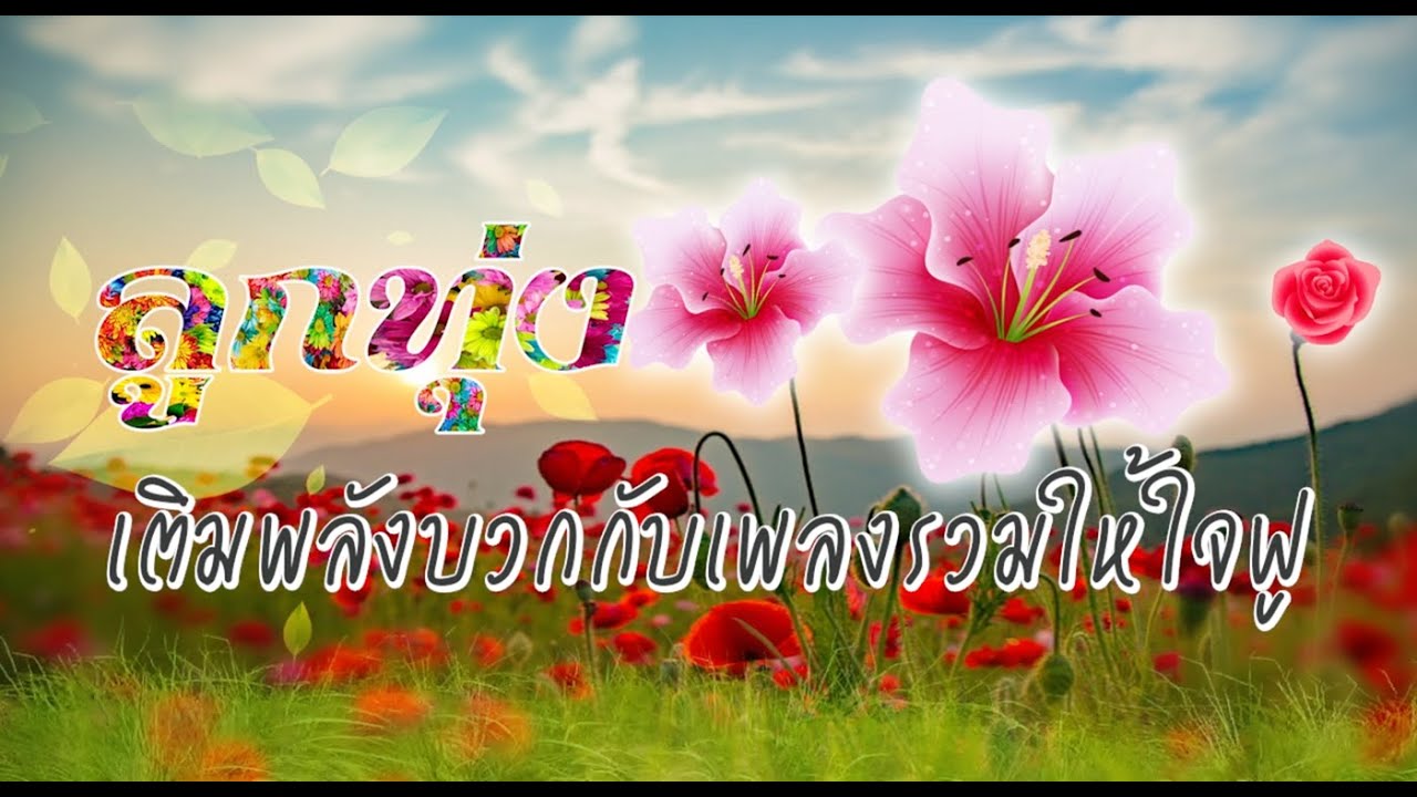 ลูกทุ่งเติมพลังบวกกับเพลงรวมให้ใจฟู