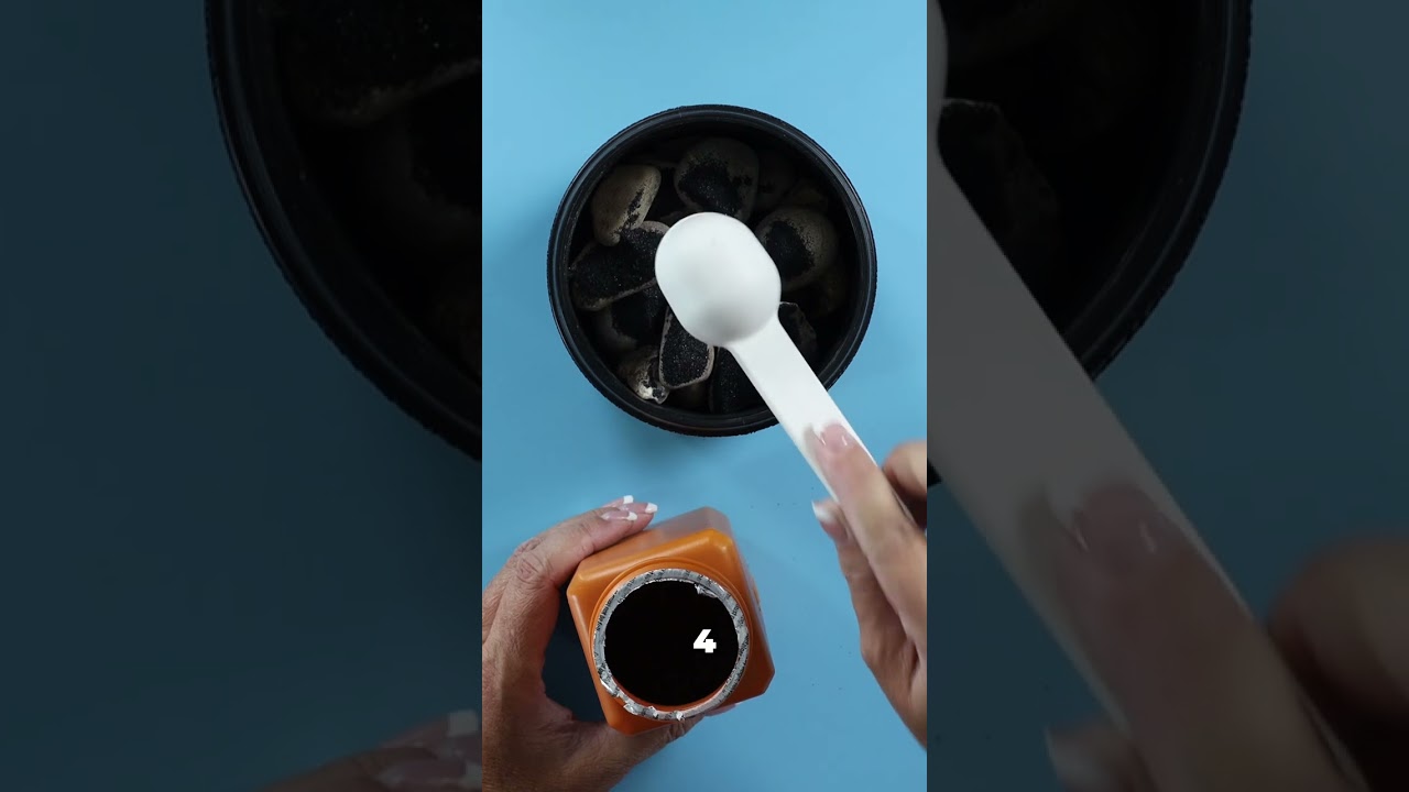 Tumbling Rocks: Watch These Rocks Transform In 2 Weeks!