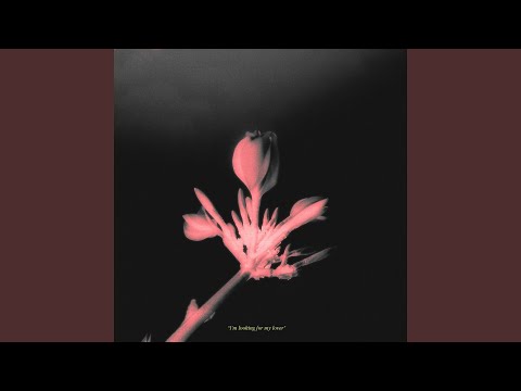 Marigold (Super Slowed)
