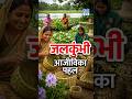 Water Hyacinth to Wealth! | "Bengal Terror" अब Women Empowerment का ज़रिया | NEXT IAS HINDI