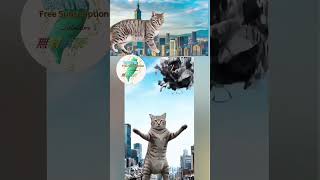🎶貓咪逛台北🎶🎶Cats strolling around Taipei🎶🎶台北を散歩する猫たち🎶#新歌#新曲#newsong#新曲リリース#songs#歌曲#歌枠#歌#創作歌曲#好聽歌曲#放鬆音樂