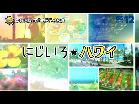 【DVD】　Hawaii　～虹色のレイ～ フラの宇宙～ DVD】 Hawaii ～虹色のレイ～ フラの宇宙～ Amazon.co.jp
