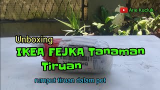 IKEA FEJKA Tanaman tiruan. Unboxing.