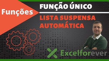 Lista Suspensa Automática com a função Único