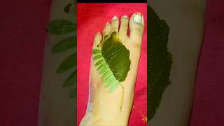 🌿New Trending feet Leaf Mehndi Design🌿#leafmehnd #youtubeshorts #mehndi #shots#viralhacks