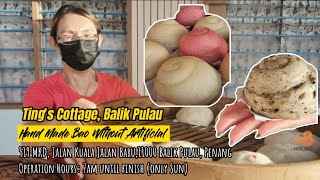 Ting's Cottage, Balik Pulau - RM1 Handmade Bao Without Artificial