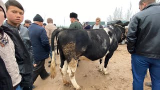 МОЛБОЗОРИ ФРУНЗА ДЕХКОН БОЗОР НАРХИ БУКАЧА ГНАЧИН ГУСФАНД ВА КАХ ПРЕСИ БЕДА ВА МОЛИ БУГУЗ 8 Ян 2022