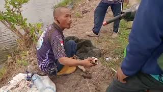 Download Lagu di bukak ke 2 kolam bang Lubis kampung nelayan Minggu tgl 30 nov 2025 MP3