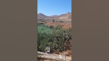 سورة يوسف للشيخ عبد الرحمن السديس ❤