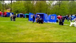 20100515.mp4