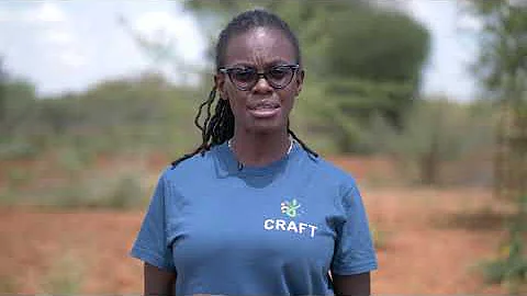 Climate smart agricultural practices are making farmers more resilient to climate shocks