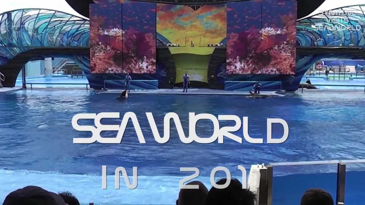 在 YouTube 上观看 Synth.nl visits Sea World 2011 在 YouTube 上观看 Synth.nl visits Sea World 2011