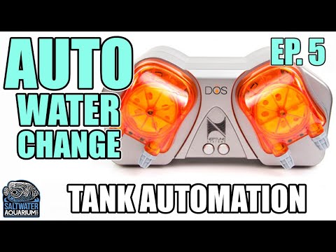 AUTOMATIC Water Changing - Tank Automation