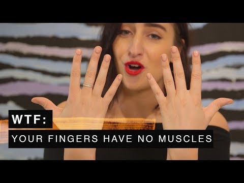 Video: Pirštai nesudaro raumenų