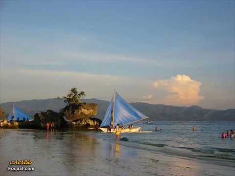 فايزة احمد احبه كثيرا   