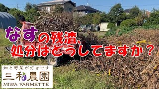 落ちてる茄子 ナスの悲劇 | モンテッソーリ教育と家庭菜園 in アメリカ
