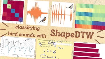 TIME SERIES CLASSIFICATION | Align the Shape & Measure the Distance