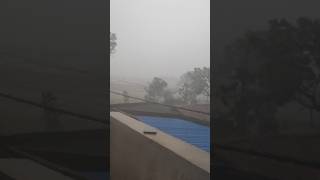 bahut jyada barish mein Pahadi tota 🌩️🌧️🦜🙏🙏 #parrot #talkingparot #shortvideo #azharparrot