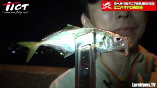 「ミニMキャロ実釣編」ティクト・アジング動画(6/9)