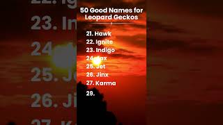 50 Cool Names for Leopard Geckos 🦎🔥