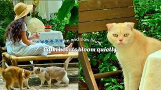 Calm hearts bloom quietly...(a gentle music playlist)