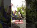 Tiada Hari Tanpa Strike Mancing! #mancing #fishing