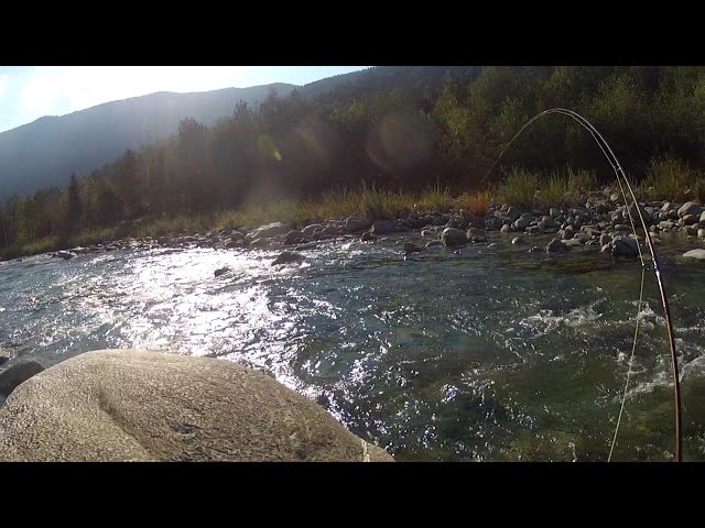 Mosca Flatwing Arancione Per Pesca In Acqua Salata - Verme Cenerino Clam - DKCF