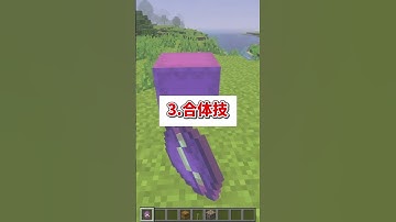 統合版とJava版の違いPart3【マイクラ】