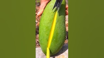 Ide Cerdas petani kreatif cara mudah mengupas kulit buah mangga menggunakan alat unik tajam #shorts