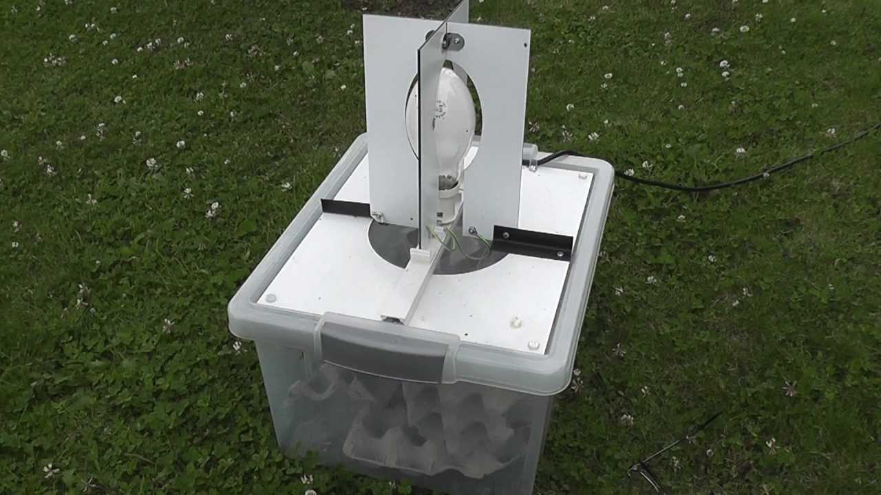 The Moth Trap YouTube