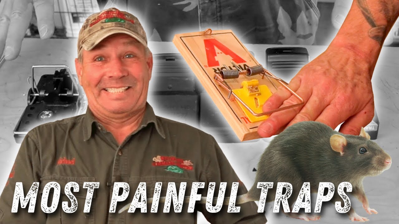 Most PAINFUL Rat Traps  Wildlife Command Center 