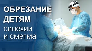 Обрезание плоти детям синехии и смегма