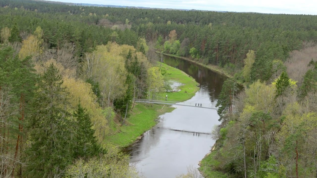 View from tower to Anykščiai forest   
