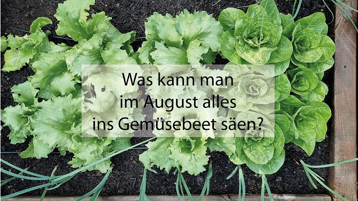 Was kann man im August alles ins Gemüsebeet säen?