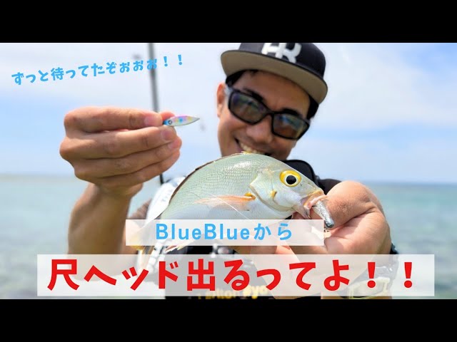 海と青の物語】＃1 新しい物語が始まる 淡路島のショアソルトゲーム