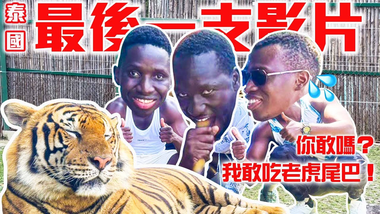 最後一天玩老虎尾巴、蛇吻留下難忘的回憶！用酷的10萬玩泰國有成功嗎？｜泰國4天3夜4人10萬挑戰 DAY4