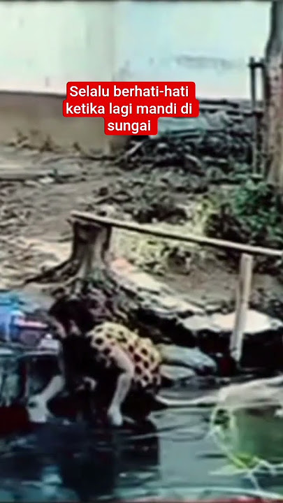 waspadalah ketika mandi di sungai #viral #trending #fyp #fypviralシ #fypage