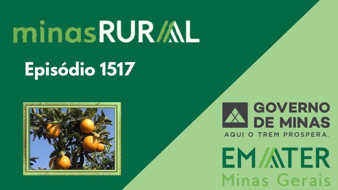 MINAS RURAL 1517 - 13/02-26