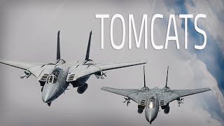 DCS F14 TOMCAT INTENSE PVP ON CONTENTION