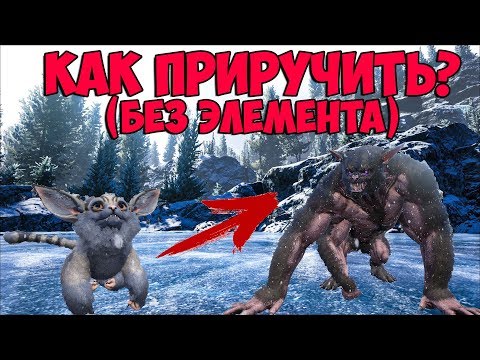 Ферокс (Ferox) В ARK: Genesis ➤ ПРОСТЕЙШЕЕ ПРИРУЧЕНИЕ БЕЗ ЭЛЕМЕНТА! (БАГ/ФИЧА)