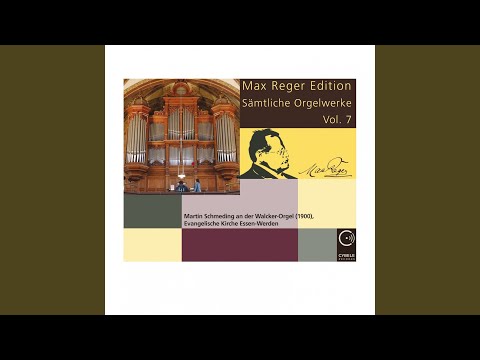 Regardez Zweiundfünfzig leicht ausführbare Vorspiele zu den gebräuchlichsten evangelischen Chorälen... sur YouTube
