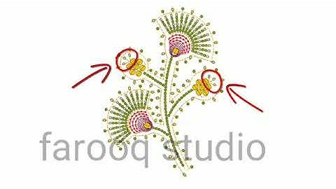 Digitizing for beading wilcom e4.5#wilcom #wilcome4 #wilcome2