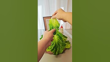 You can draw Christmas trees using sponge stamps #diy #diycrafts #creative #DIYCrafts #CreativeArt