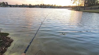 Neighborhood Lake Fishing for Spring Bass