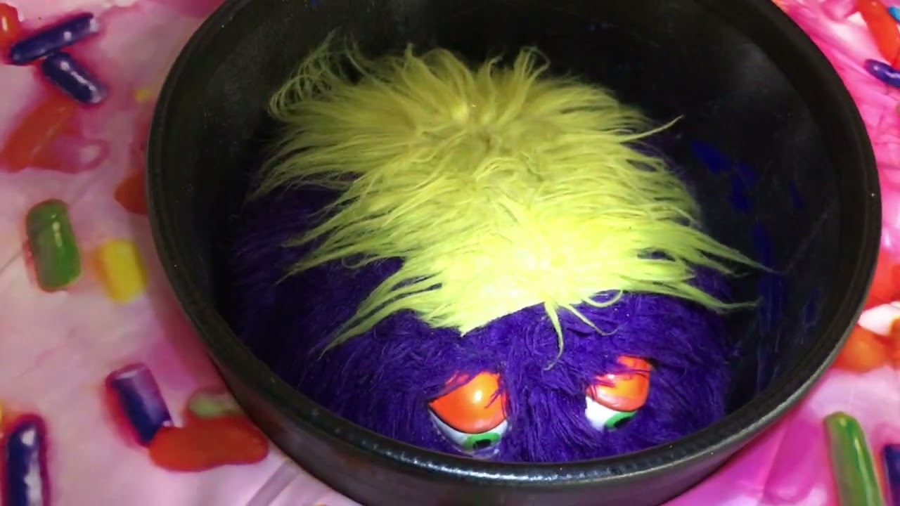 Up Close and Personal Episode 11 - Munch Jr. at Chuck E. Cheese Pineville Matthews Rd Charlotte, NC