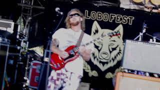 Video thumbnail of "Saltones - Maggot Man - Live at Lobofest 2023"