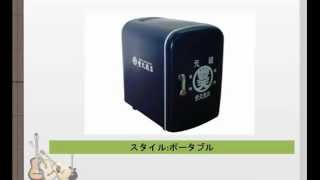 豊天 ポータブル冷温庫4LBタイプ BD-E04B