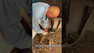 Donkey hoof trimming process is relaxing and helps sleep. #donkey #satisfying