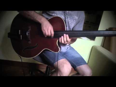 Galli Strings Black Nylon on a Takamine TB 10 Bass