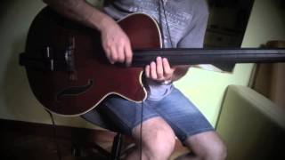 Galli Strings Black Nylon On A Takamine Tb 10 B